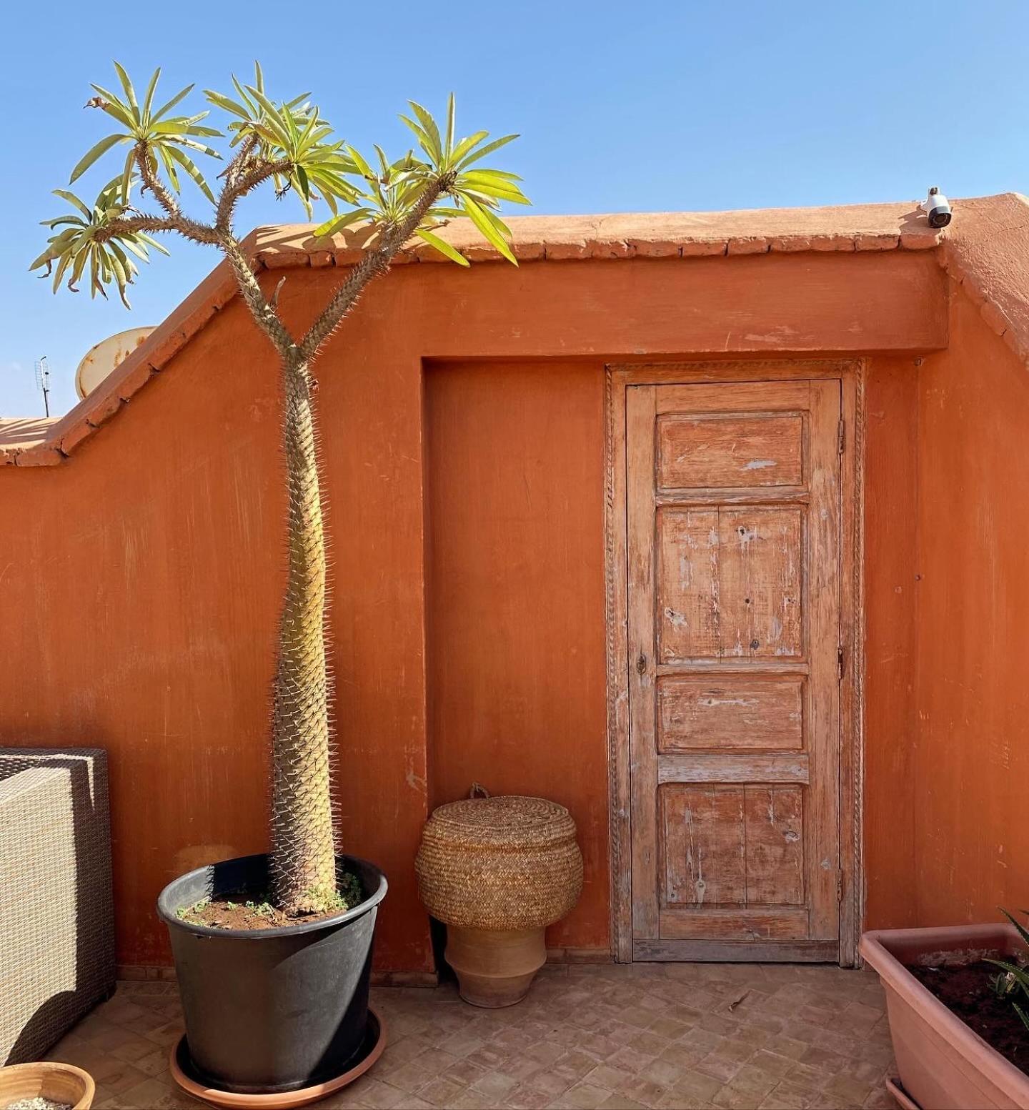 Riad Rossi Марракеш Экстерьер фото